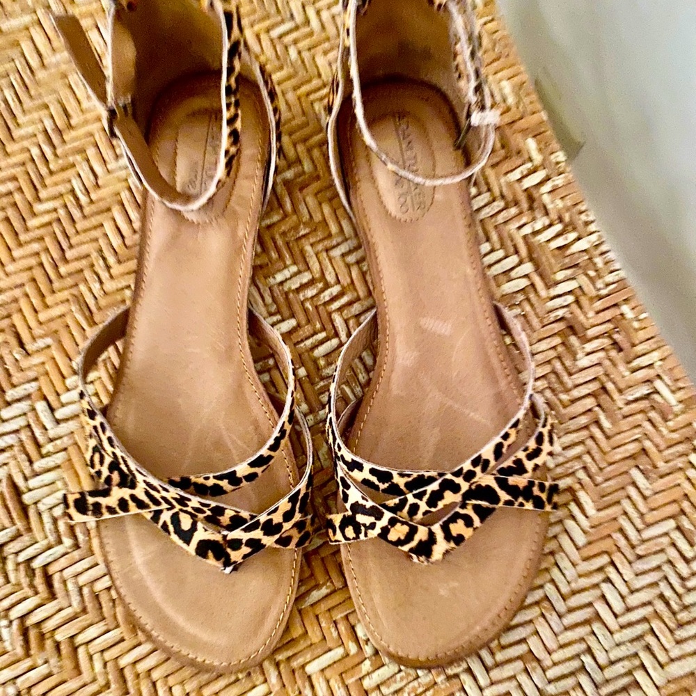 Adam Tucker Me To Leopold Sandal -11 leopard print